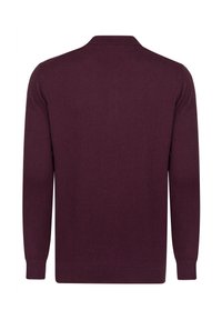 Langärmliger Pullover in tiefem Bordeauxrot, mit glatter Strickstruktur, standardmäßigem Kragen sowie gerippten Bündchen und Saum. Keine sichtbaren Designdetails auf der Vorderseite.