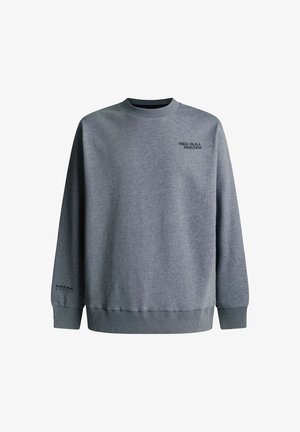 Szara bluza z długimi rękawami, ze ściągaczem na kołnierzu i dole, z czarnym napisem „RED BULL RACING” na piersi i rękawie. Wykonana z bawełnianej mieszanki.