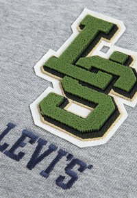 Šedá tkanina s výrazným vyšitým logem v zelené barvě s bílým a béžovým obrysem. Text "LEVI'S" vyšitý v modré barvě pod logem.