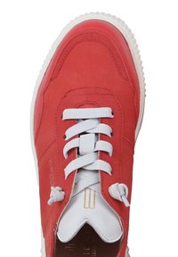 Czerwona tenisówka z białymi sznurowadłami, białą podeszwą, zamszową cholewką i widocznym złotym logo wewnątrz na języku.