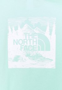 Mátově zelené tričko s bílým grafickým motivem hor, stromů a nápisem „THE NORTH FACE“ v tučném, moderním fontu.