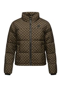 SERAH PRINT - Žieminė striukė - brown melange