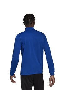 Blauw langemouwtop met een hoge hals, zachte stof en aangesloten manchetten. Kenmerkt zich door een gladde textuur en een strakke, atletische uitstraling.