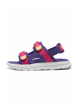 EVOLVE - Sandali da trekking - team violet pinkalmost apricot