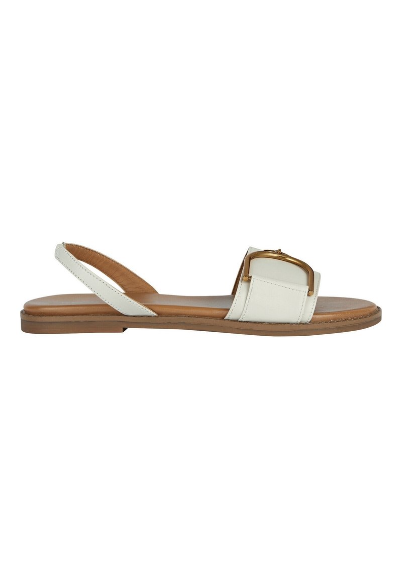 Sandal in pelle bianca con una fascia larga e un dettaglio della fibbia in tono oro. Presenta una suola piatta marrone e un design con retro aperto.