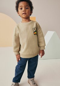 Next BACKPRINT AND JOGGERS SET - Tepláková súprava - stone mountain scene