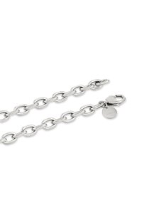 Zilveren ketting met ovale schakels, een kreeftenklauwsluiting en een klein rond label. Glad oppervlak, gepolijste afwerking en robuust ontwerp.