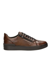 Wojas Sneaker low - ciemny brąz