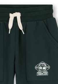 Groene sweatshorts met elastische tailleband, witte trekkoorden en zakken, met een witte Timberland-boomlogo geborduurd aan de linkerkant.