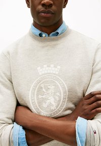 Mand med korslagte arme iført en beige sweatshirt med løvevåben og en blå button-up skjorte synlig ved kraven og manchetterne.