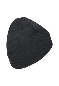 Black knit beanie with a ribbed texture, pointed top, and rolled cuff. Made of soft fabric, designed for warmth and comfort.