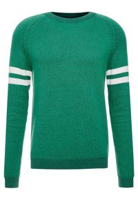 Grüner Strickpullover mit Rundhalsausschnitt, der weiße Streifen über die Ärmel, gerippte Bündchen und Strukturmuster im gesamten Design aufweist.
