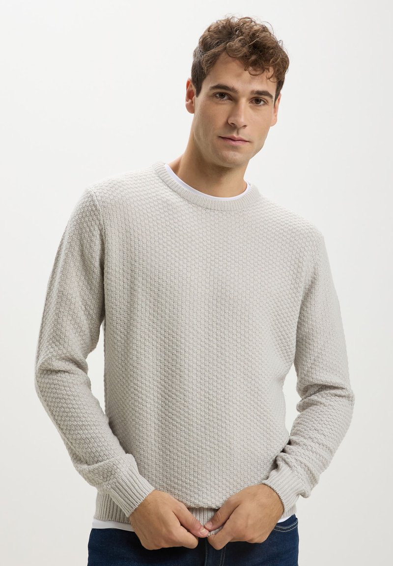 Maglione grigio chiaro con texture, collo rotondo, maniche lunghe e polsini a costine, indossato sopra una maglietta bianca.