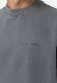 Grå sweatshirt med ribbet rund hals. Har et prægede "PegaDoor" logo på forsiden, lavet af blødt, tekstureret stof.