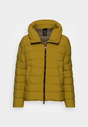 FUCHS SCHMITT WELLON AIR - Winterjas - light green