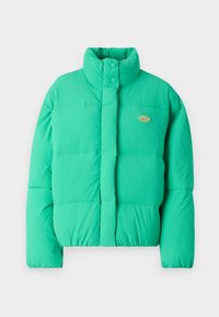 Žalias pūkinis švarkas su aukštu apykakle, užsegamas užtrauktuku ir horizontaliomis siūlėmis. Kairėje pusėje yra mažas logotipas.