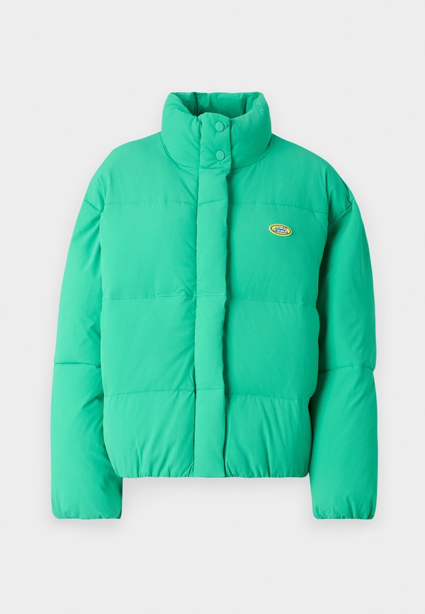 ZAXOO - Winter jacket - chlor4