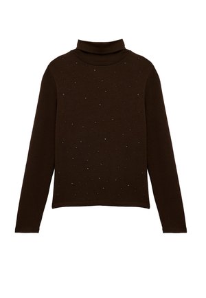 TURTLE NECK - Pitkähihainen paita - brown