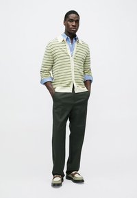 Green and cream-striped cardigan over a light blue shirt, paired with dark green trousers and beige shoes with brown accents.