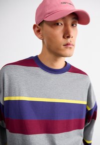 Pelēks sporta krekls ar horizontālām svītrām violetā, sarkanā un dzeltenā krāsā. Ar klasisku apaļu apkakli un mīkstu tekstūru. Rozā cepure ar logo.