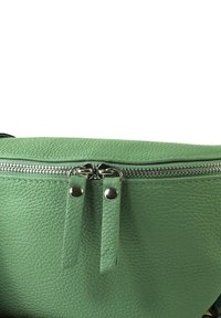 DrachenLeder TOSCANTO - Heuptas - grün mehrfarbig