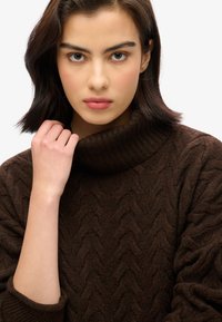 Superdry & Co LIGHTWEIGHT CABLE ROLL NECK - Jersey de punto - dark brown twist