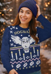 Maglione blu lavorato a maglia con un design di un gufo bianco con ali, candele colorate e motivi decorativi in rosa e bianco, etichettato "Hogwarts."