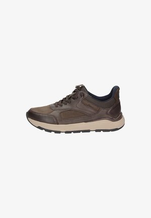 Sioux, SNEAKER ROGERLINO-701-H - Sneaker low - dunkelbraun
