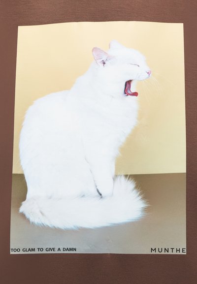 Witte kat met pluizige vacht en roze oren, die gaapt tegen een gouden achtergrond. Onderaan staat de tekst "TE GLAMOUR VOOR ZICH ER IETS VAN AAN TE TREKKEN."