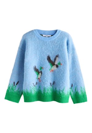 Světle modrý chlupatý svetr se vzorem zelené trávy na lemu a rukávech, s dvěma létajícími kachnami v zelené, bílé, černé a oranžové barvě.