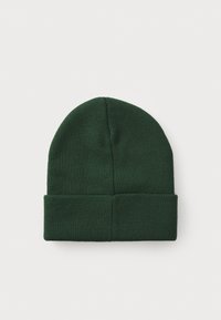 Beanie verde lavorato a maglia con risvolto. Texture liscia e design semplice, con una parte superiore arrotondata senza decorazioni.