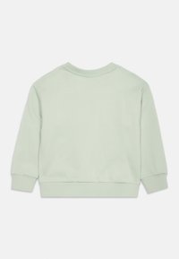 Felpa verde chiaro con maniche lunghe, scollatura rotonda e polsini e orlo a coste. Tessuto liscio, design semplice, senza motivi visibili.