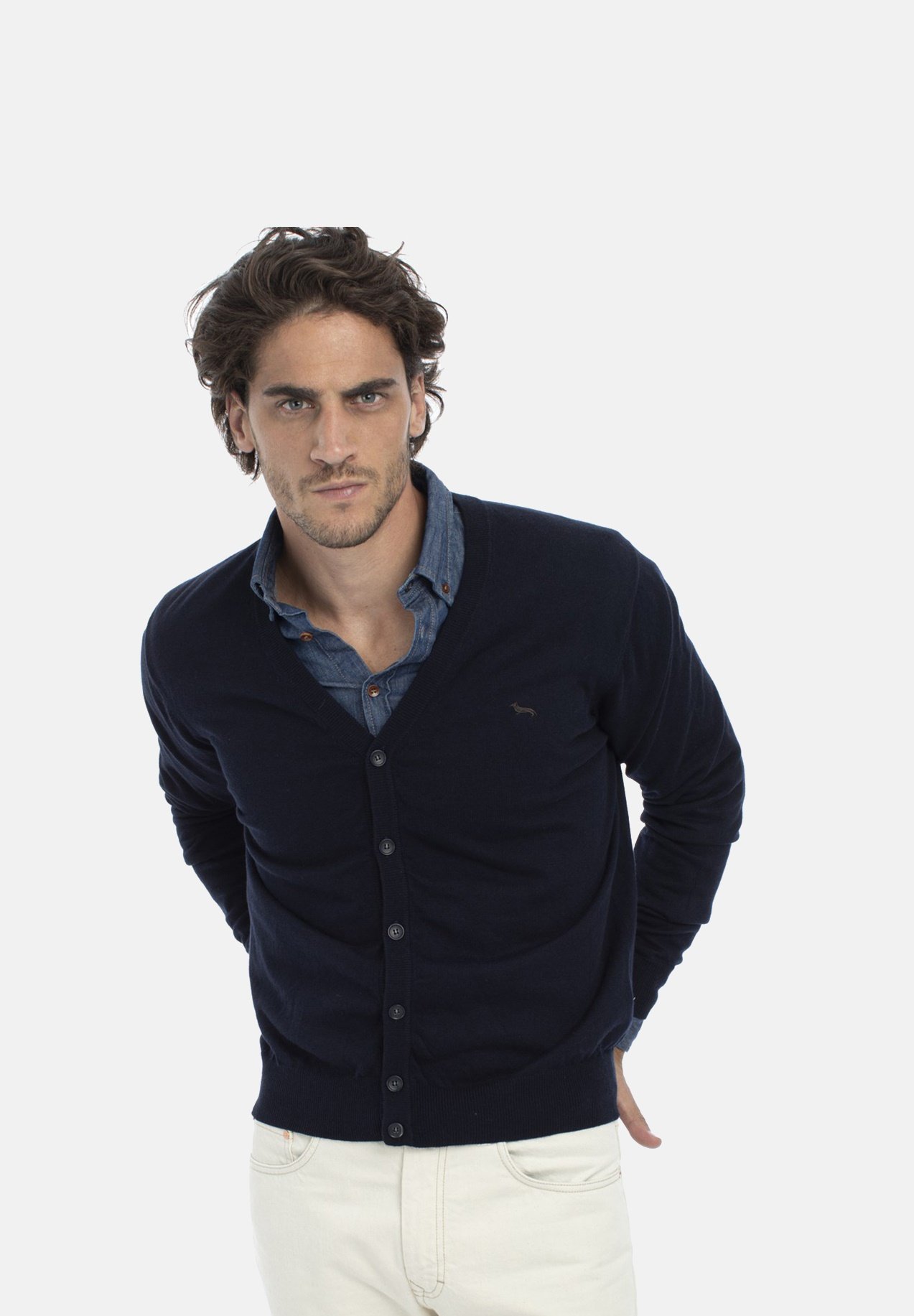 harmont e blaine online