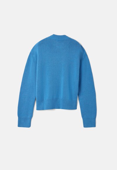 Blue knitted sweater with a cropped design, ribbed cuffs, and hem. Smooth texture and round neckline, displayed from the back.