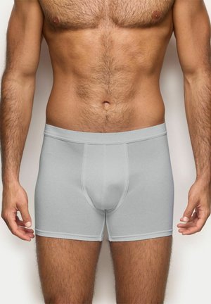 Miehen vartalo ja yläreidet, joissa on yksiväriset vaaleanharmaat bokserialushousut, neutraalia taustaa vasten, seisomassa käsivarret rentoina sivuilla.