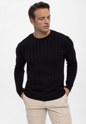 CABLE CREW NECK  - Strickpullover - black