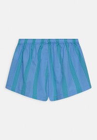Blauwe zwembroek met groene verticale strepen, elastische tailleband en een lichtgewicht stof voor comfort. Geen zakken of extra details.