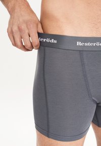 Calzoncillos boxer grises con forma ajustada, fabricados en tela suave. Presentan una cinturilla elástica de marca y detalles de costura en contraste.