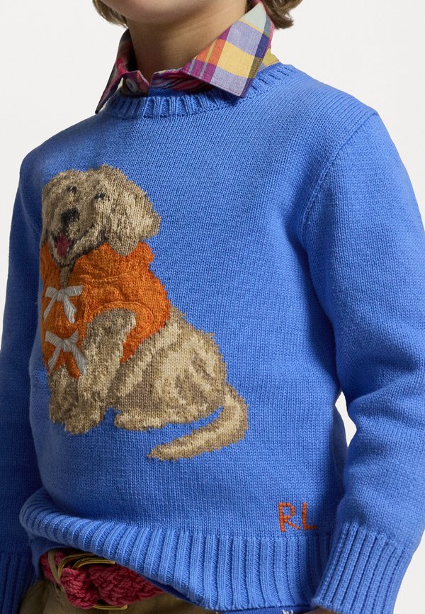 DOG INTARSIA COTTON SWEATER - Jumper2