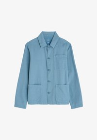 Izbrano, blue hydrangea