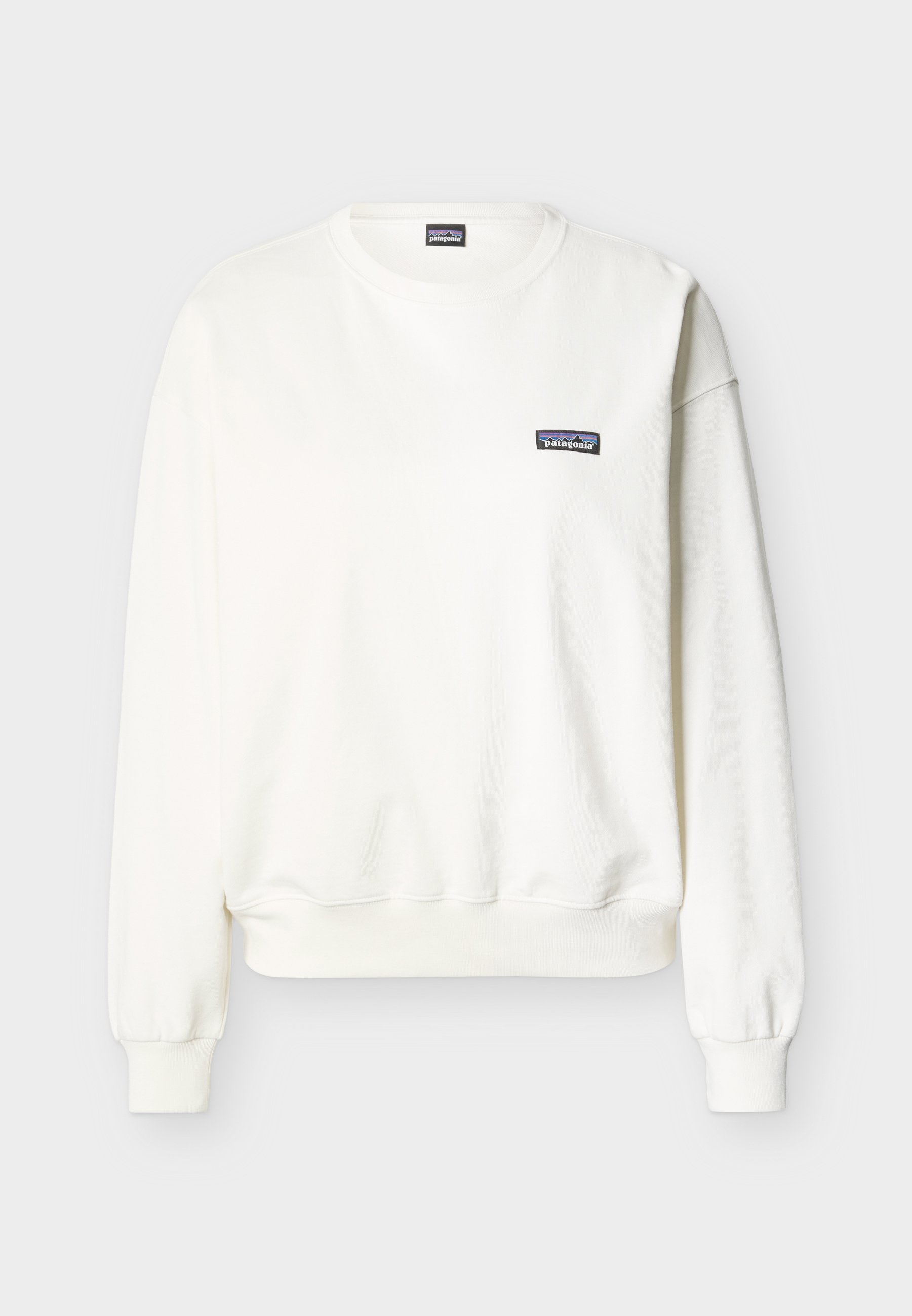Patagonia DAILY CREW - Mikina - white