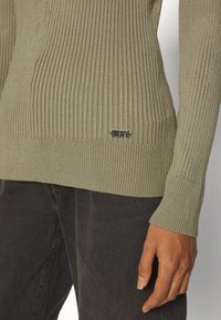 Oliwkowy sweter w prążki z długimi rękawami i dopasowanym krojem. Posiada małe srebrne logo blisko dolnego szwu. Noszony z czarnymi dżinsami.