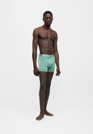 Meesmodell seisab paljajalu, kannab türkiissiniseid bokserpükse Björn Borgi brändiga vöökohal, lihtsa valge tausta ees.