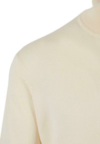 Helle beigefarbene Rollkragenpullover mit einer glatten, gestrickten Textur. Der Stoff hat ein weiches, dehnbares Gefühl und eine figurbetonte Silhouette.