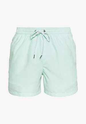 Quiksilver EVERYDAY VOLLEY 15 - Plavecké šortky - beach glass