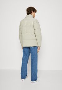 Redefined Rebel PHOENIX JACKET UNISEX - Vinterjakke - mid grey