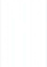 Duas mulheres a correr num caminho pavimentado ladeado de árvores num parque, vestidas com roupa desportiva, com auriculares e garrafas de água.