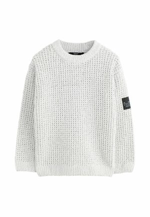 UTILITY CREW NECK - Strickpullover - light grey