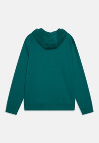 Haut en coton teal avec une grande capuche, des manches longues et un ourlet droit. Présente une texture lisse sans motifs ni accents visibles.