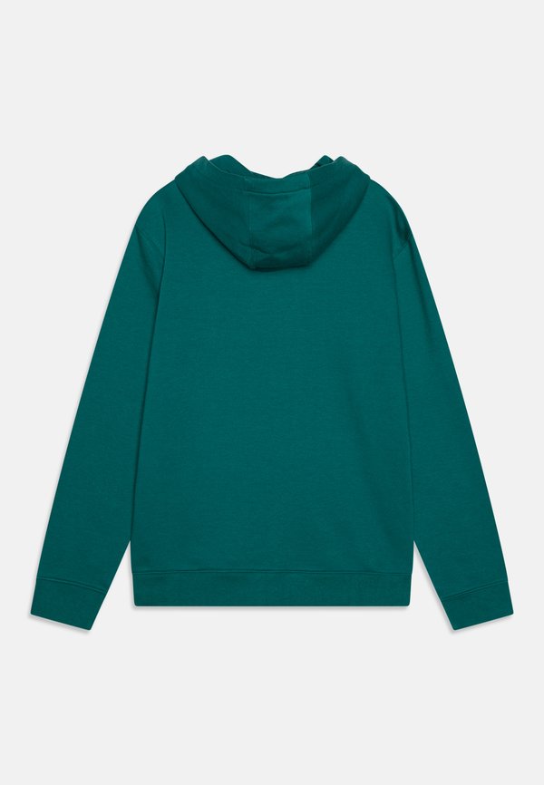 BIG LOGO YOUTH UNISEX - Hoodie2